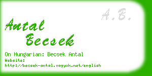 antal becsek business card